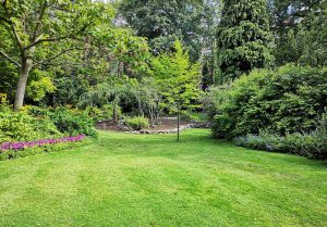 Optimiser l'expérience du jardin à Etcharry